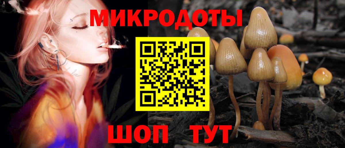 Псилоцибиновые грибы Psilocybe  Вход с VPN  Дмитров 